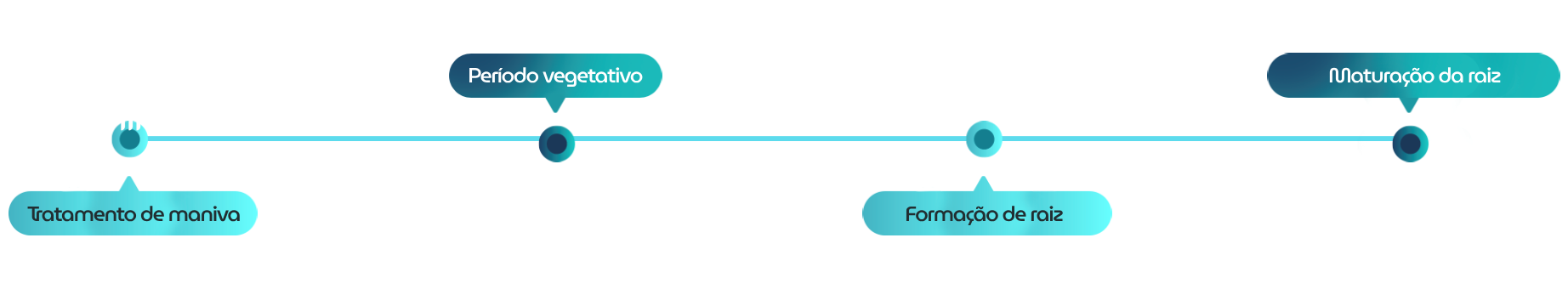 Linha do tempo dos estágios de crescimento