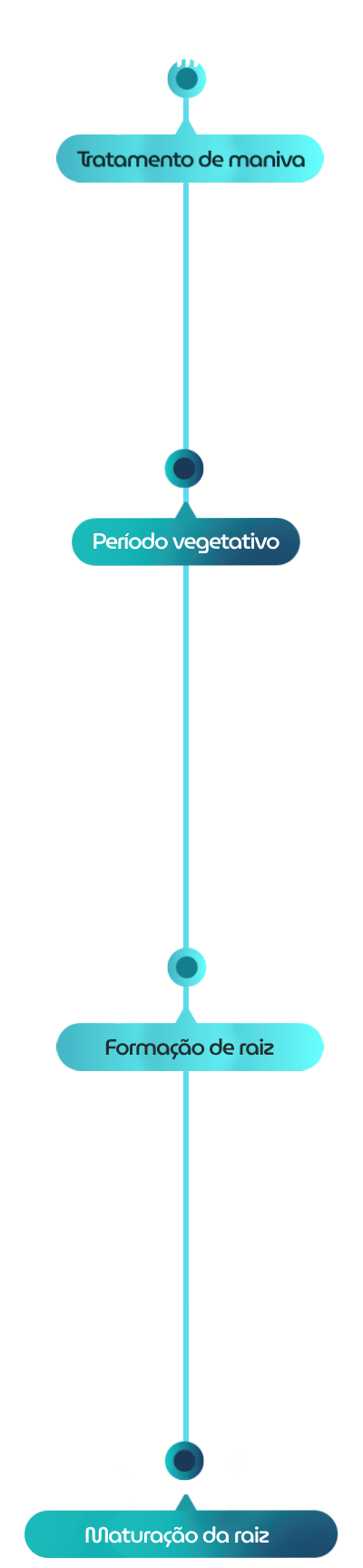 Linha do tempo dos estágios de crescimento